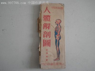 民国2米多长的彩印,[人体图解].,带封套_其他印刷品字画_合肥旧品收购站【中国收藏热线】