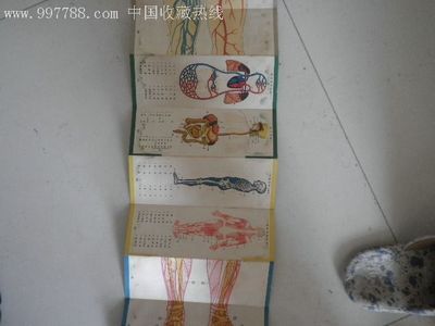 民国2米多长的彩印,[人体图解].,带封套-价格:61元-au2620036-其他印刷品字画-拍卖-中国收藏热线